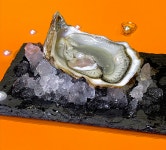 Oysters Anonymous. An unlikely love story | by Susan Louise Gabriel | The Lark | Medium Oysters Anonymous