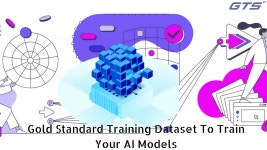 Gold Standard Training Dataset To Train Your AI Models | by Globaltechnologysolutions | Medium Gold Standard Training Dataset To... 