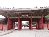 An unexpected photo shoot 📸. Yesterday morning I moved to a new… | by Eleonora | Medium An unexpected photo shoot 📸