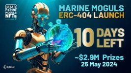 Marine Moguls ERC-404 Launches in 10 Days | by MetFi DAO | Medium Marine Moguls ERC-404 Launches in 10 Days