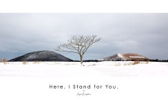 다른 곳에서 여러 번 밝은 것인데 제주의 동쪽을 여행하면 삼다수목장을… | by Jeong, Buhwan | Jeju & Photography | Medium 나홀로... 