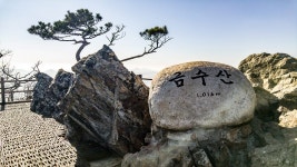 제천 금수산 (258차 112/135). 2017.11.09 안내산악회 | by 하원 | mountain hiking | Medium 제천 금수산 (258차 112/135)