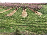 The recommender systems for social media like Twitter polarized and tribalized people beyond belief. Things wont improve with... 