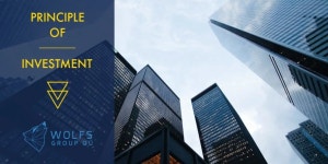 Wolfs Group 프로젝트 소개. Wolfs Group OÜ는 다양한 전략 산업에 투자하는 단체 인… | by Micheal Nguyen | Medium Wolfs Group... 