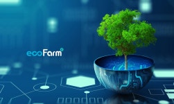 [지엘스토리-2] 지엘에코팜, 어떤 기업일까요?. 안녕하세요, ESGC팀입니다 :) | by ESG Chain Global | Medium 1–2. 지엘에코팜, 어떤... 