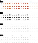 클래스101의 디자인 시스템, One Product System | by 히로 | CLASS101 | Medium 클래스101의 디자인 시스템, One Product System