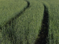 Data Mining Team Proof of Value August 2023 | by quantum8 | Superalgos | Algorithmic Trading | Medium Data Mining Team Proof of... 