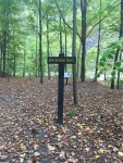 Better Hiking in Burnet Woods. by Maria Ciampone, Madeline Sohngen… | by Maria Ciampone | Medium Better Hiking in Burnet Woods