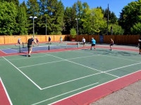 Pickleballs. Are you ready to dive into the exciting… | by Dorothy Smith | Oct, 2024 | Medium Pickleballs