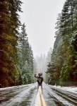 Always the Road. We are always keen to learn about… | by TreeEraCo | Medium Always the Road