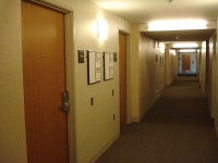 I Might Not Be Alone Here After All… | by RehnWriter | Medium There’s Something Strange Going on at My Dorm. I Might Not Be... 