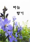 하늘 향기 (정태현 시집 3) - 리디북스하늘 향기