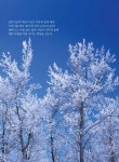 <나무와 숲> 2호 - 잡지 - 전자책 - 리디 <나무와 숲> 2호