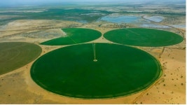 African Agriculture Reports Expanded Activities Expects to Significantly Increase Production in 2024 | Nasdaq African Agriculture... 