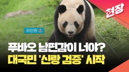 남편이 집안일 도와주는데 왜 매일 피곤하지? 아내들이 속고 있는 한가지! [창+] | KBS 뉴스 남편이 집안일 도와주는데 왜 매일 피곤하지?... 