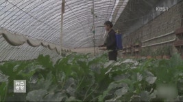 북한 협동 농장 공개…“썰렁하고 볼 것 없어” | KBS 뉴스 북한 협동 농장 공개…“썰렁하고 볼 것 없어”