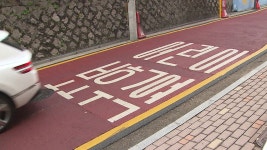 충남도, 경제림 등 2,558ha 조림