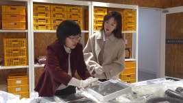 “소(牛)프라이즈” 반값 한우 맘껏 드세요