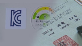 ‘사각의 링 열정!’ 미래 챔프 꿈꾼다 ‘사각의 링 열정!’ 미래 챔프 꿈꾼다 