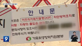 강원도 농장 석 달 만에 돼지열병 재발…확산 차단 비상 | KBS 뉴스 강원도 농장 석 달 만에 돼지열병 재발…확산 차단 비상