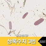 대한민국 대표 문구전문쇼핑몰 모닝오피스 응용한지2 /상록수지3번/예한한지/모닝오피스