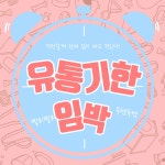 (유통기한임박)닥터클라우더 베스트초이스 캣 키튼 1Kg_간편보기_동원몰