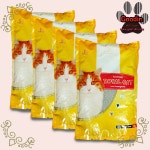 로얄캣 대용량 무향 10kg_간편보기_동원몰