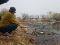 토탈조사 > 평택호 당거리권 짬낚시! : 낚시사랑
