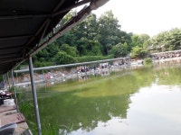 더워도 붕어가 나와요, 오늘 방류 했습니다. : 낚시사랑