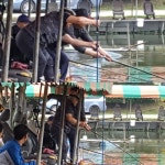 유료터정보 > 유료터점주조황 > 피싱지오그래픽