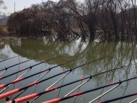 돌배좌대 유료터정보 > 고삼돌배좌대 : 낚시사랑