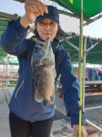 당진좌대낚시5월22일입어식조황입니다. : 낚시사랑