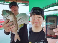 정성미니낚시터 6월 7일(금) 조황 : 낚시사랑