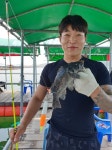 당진 와따좌대 6월22일 입어식 조황입니다. : 낚시사랑