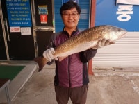 낚시터  대량직방 : 낚시사랑