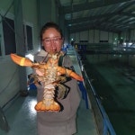 낚시터  : 낚시사랑