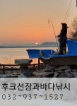  후크선장 바다낚시조황 > 화요일조항 : 낚시사랑