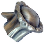 Write a Review about Sierra Clear Round Cabinet Knob at Lowes.com