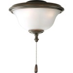 Progress Lighting Fan Light-Kit 2-Light Antique Bronze LED Ceiling Fan Light Kit with Frosted Glass/Shade ENERGY STAR at Lowes.com