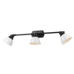 Golden Lighting Duncan 3-Light Black Transitional Vanity Light in the Vanity Lights department at Lowes.com Golden Lighting... 
