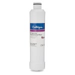 Culligan CW-S2 (Fits Samsung HAF-CINS Filter) at Lowes.com