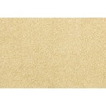 Glen Cove Carpet Samples at Lowes.com