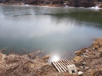 양주권 해빙 소식입니다. 낚시포인트 | 모두의낚시 - 낚시정보공유서비스, 모낚