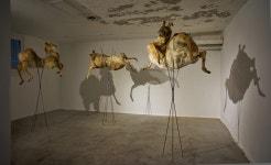 STUCK - 월간미술