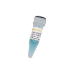 에스아이비바이오 | [YEASEN - 한국 공식, 모아바이오] Hieff Unicon™ Universal Blue qPCR Master Mix (SYBR Green Based) ------ 인기제품...