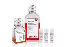 [UBIGENE - 한국 공식, 모아바이오] Transfection Culture Medium 리스트를 확인해 보세요! | 연구용제품 > Bio마켓 | BRIC