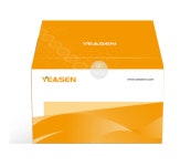 [YEASEN] 더 높은 효율, 더 낮은 세포독성의 Transfection reagent를 경험해 보세요! >>무료샘플 Bio마켓 | BRIC