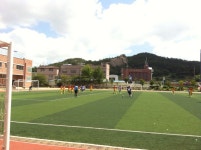 교육정보 > 학교스포츠클럽 > 경기장면