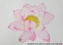 : : 마포구평생학습센터 마포구평생학습센터