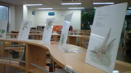 사진갤러리 : 사진갤러리 : 마포구립서강도서관 마포구립서강도서관